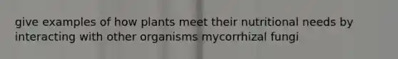 give examples of how plants meet their nutritional needs by interacting with other organisms mycorrhizal fungi