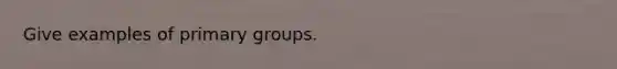 Give examples of primary groups.