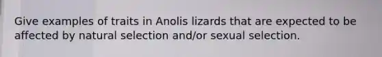 Give examples of traits in Anolis lizards that are expected to be affected by natural selection and/or sexual selection.