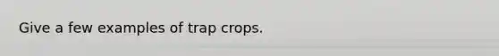 Give a few examples of trap crops.