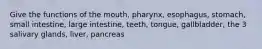 Give the functions of the mouth, pharynx, esophagus, stomach, small intestine, large intestine, teeth, tongue, gallbladder, the 3 salivary glands, liver, pancreas