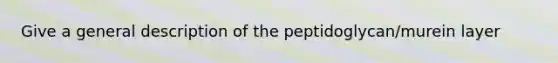 Give a general description of the peptidoglycan/murein layer