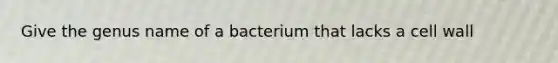 Give the genus name of a bacterium that lacks a cell wall