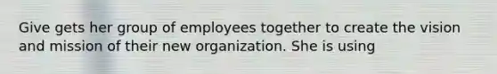 Give gets her group of employees together to create the vision and mission of their new organization. She is using