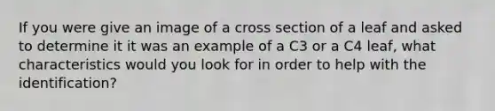 If you were give an image of a cross section of a leaf and asked to determine it it was an example of a C3 or a C4 leaf, what characteristics would you look for in order to help with the identification?