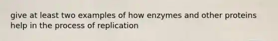 give at least two examples of how enzymes and other proteins help in the process of replication