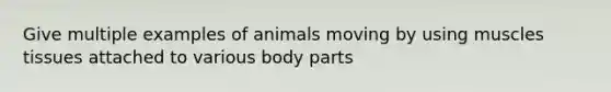 Give multiple examples of animals moving by using muscles tissues attached to various body parts