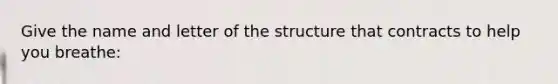 Give the name and letter of the structure that contracts to help you breathe: