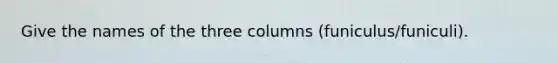 Give the names of the three columns (funiculus/funiculi).