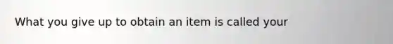 What you give up to obtain an item is called your