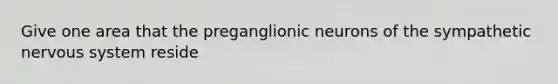 Give one area that the preganglionic neurons of the sympathetic nervous system reside