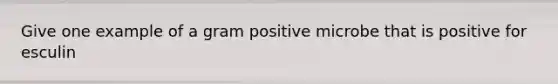 Give one example of a gram positive microbe that is positive for esculin