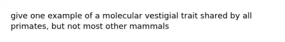 give one example of a molecular vestigial trait shared by all primates, but not most other mammals