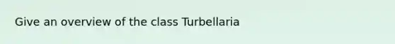 Give an overview of the class Turbellaria