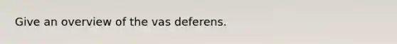 Give an overview of the vas deferens.