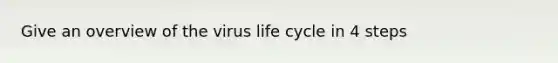 Give an overview of the virus life cycle in 4 steps