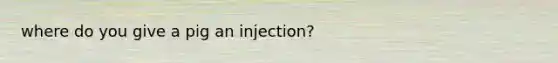 where do you give a pig an injection?