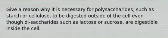 Give a reason why it is necessary for polysaccharides, such as starch or cellulose, to be digested outside of the cell even though di-saccharides such as lactose or sucrose, are digestible inside the cell.