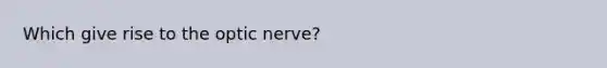 Which give rise to the optic nerve?