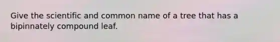 Give the scientific and common name of a tree that has a bipinnately compound leaf.
