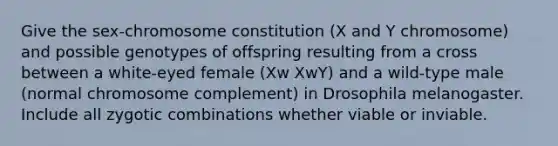 Give the sex-chromosome constitution (X and Y chromosome) and possible genotypes of offspring resulting from a cross between a white-eyed female (Xw XwY) and a wild-type male (normal chromosome complement) in Drosophila melanogaster. Include all zygotic combinations whether viable or inviable.