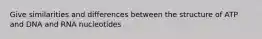 Give similarities and differences between the structure of ATP and DNA and RNA nucleotides