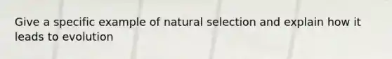 Give a specific example of natural selection and explain how it leads to evolution