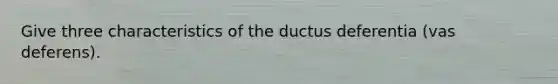 Give three characteristics of the ductus deferentia (vas deferens).