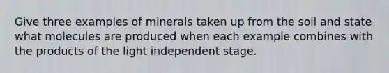 Give three examples of minerals taken up from the soil and state what molecules are produced when each example combines with the products of the light independent stage.