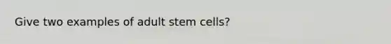 Give two examples of adult stem cells?