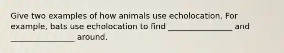 Give two examples of how animals use echolocation. For example, bats use echolocation to find ________________ and ________________ around.