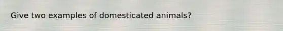 Give two examples of domesticated animals?