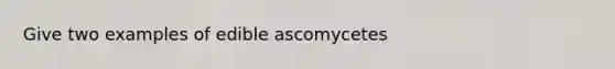 Give two examples of edible ascomycetes​