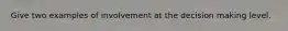 Give two examples of involvement at the decision making level.