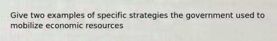 Give two examples of specific strategies the government used to mobilize economic resources