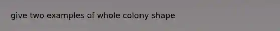 give two examples of whole colony shape