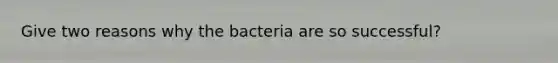 Give two reasons why the bacteria are so successful?