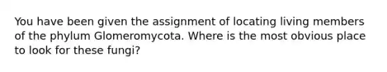 You have been given the assignment of locating living members of the phylum Glomeromycota. Where is the most obvious place to look for these fungi?
