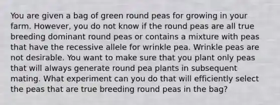 You are given a bag of green round peas for growing in your farm. However, you do not know if the round peas are all true breeding dominant round peas or contains a mixture with peas that have the recessive allele for wrinkle pea. Wrinkle peas are not desirable. You want to make sure that you plant only peas that will always generate round pea plants in subsequent mating. What experiment can you do that will efficiently select the peas that are true breeding round peas in the bag?