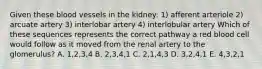 Given these blood vessels in the kidney: 1) afferent arteriole 2) arcuate artery 3) interlobar artery 4) interlobular artery Which of these sequences represents the correct pathway a red blood cell would follow as it moved from the renal artery to the glomerulus? A. 1,2,3,4 B. 2,3,4,1 C. 2,1,4,3 D. 3,2,4,1 E. 4,3,2,1