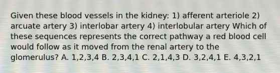 Given these <a href='https://www.questionai.com/knowledge/kZJ3mNKN7P-blood-vessels' class='anchor-knowledge'>blood vessels</a> in the kidney: 1) afferent arteriole 2) arcuate artery 3) interlobar artery 4) interlobular artery Which of these sequences represents the correct pathway a red blood cell would follow as it moved from the renal artery to the glomerulus? A. 1,2,3,4 B. 2,3,4,1 C. 2,1,4,3 D. 3,2,4,1 E. 4,3,2,1