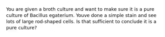 You are given a broth culture and want to make sure it is a pure culture of Bacillus egaterium. Youve done a simple stain and see lots of large rod-shaped cells. Is that sufficient to conclude it is a pure culture?