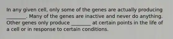 In any given cell, only some of the genes are actually producing ________. Many of the genes are inactive and never do anything. Other genes only produce ________ at certain points in the life of a cell or in response to certain conditions.