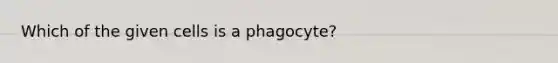 Which of the given cells is a phagocyte?