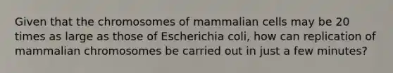 Given that the chromosomes of mammalian cells may be 20 times as large as those of Escherichia coli, how can replication of mammalian chromosomes be carried out in just a few minutes?