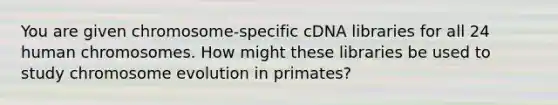 You are given chromosome-specific cDNA libraries for all 24 human chromosomes. How might these libraries be used to study chromosome evolution in primates?