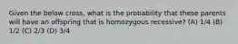 Given the below cross, what is the probability that these parents will have an offspring that is homozygous recessive? (A) 1/4 (B) 1/2 (C) 2/3 (D) 3/4
