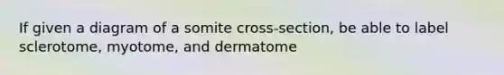 If given a diagram of a somite cross-section, be able to label sclerotome, myotome, and dermatome