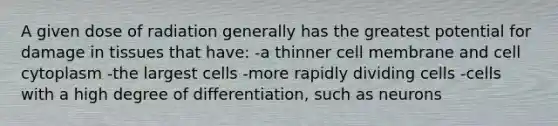 A given dose of radiation generally has the greatest potential for damage in tissues that have: -a thinner cell membrane and cell cytoplasm -the largest cells -more rapidly dividing cells -cells with a high degree of differentiation, such as neurons