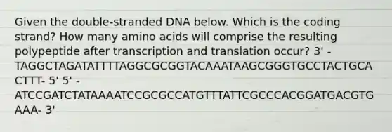 Given the double-stranded DNA below. Which is the coding strand? How many amino acids will comprise the resulting polypeptide after transcription and translation occur? 3' -TAGGCTAGATATTTTAGGCGCGGTACAAATAAGCGGGTGCCTACTGCACTTT- 5' 5' -ATCCGATCTATAAAATCCGCGCCATGTTTATTCGCCCACGGATGACGTGAAA- 3'